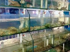 水产区-凯华海鲜火锅·传承三十六年
