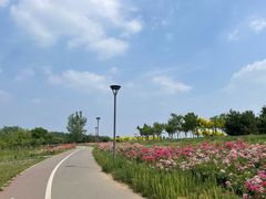 -马家湾湿地公园