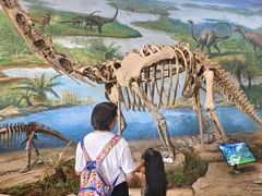 -自贡恐龙博物馆