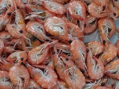 -斌记海鲜加工(十四涌店)