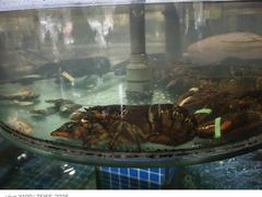 -抹直口特色菜馆(一店)