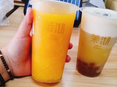 -茉沏(光启城店)