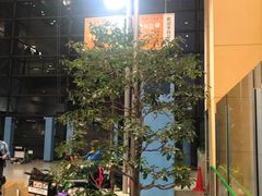 -关西国际机场直营免税店