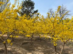 -元大都城垣遗址公园