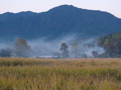 -塔川景区