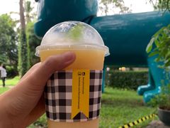 -莓园冰淇淋店