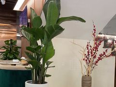 -圣和足道·瑶浴SPA·养生茶府(光华店)