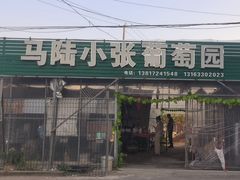 -马陆小张葡萄园农家乐