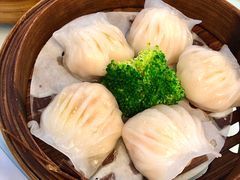 龙宝轩虾饺皇-龙宝轩(坦洲店)