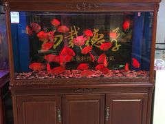 -红星美凯龙(浦江店)