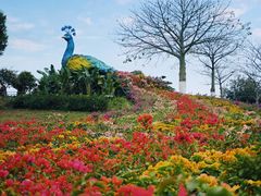 -东莞植物园