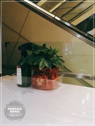 -诗碧曼养发