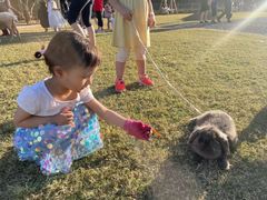 -前小桔亲子创意农场·草莓采摘·露营烧烤