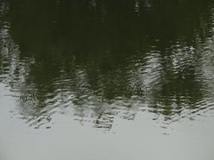 -维乐口腔医院(星海湾分院)