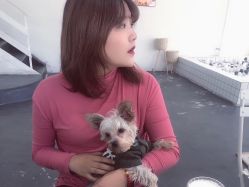 点击看大图 -朗峰专业美发沙龙