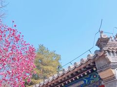 -潭柘寺景区