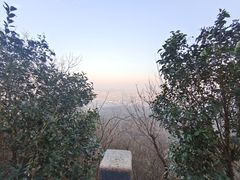 -紫金山山顶公园