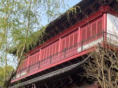 -南汇桃花村