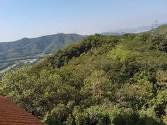 -大屏嶂森林公园