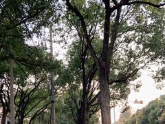-嘿哟动霸CHUA·新潮玩运动娱乐中心·蹦床滑冰团建乐园