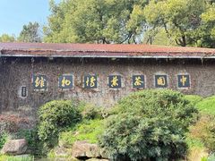 -中国茶叶博物馆(双峰馆区)