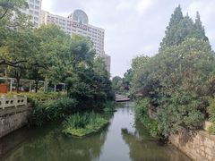 -兰溪青年公园