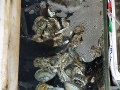 -阿杰臻选海鲜饭店(普陀山店)