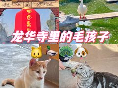 -龙华寺