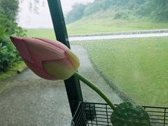 -麓湖高尔夫球俱乐部