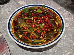 二胖爱吃的拉皮-二胖家铁锅炖大鹅(双井店)