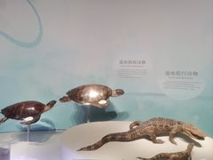 -中国湿地博物馆