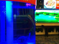 -解家河南菜(商鼎路店)