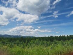 -塞罕坝国家级自然保护区