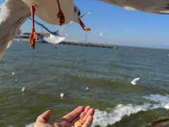 -呈贡滇池生态湿地公园