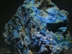 -陕西自然博物馆