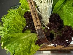 -南门四季铜锅涮肉(左家庄店)
