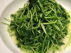 鸡油豆苗-羲和雅苑•北京烤鸭(乐园道万象城店)