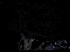 -怀托摩萤火虫洞