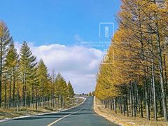 -塞罕坝国家级自然保护区