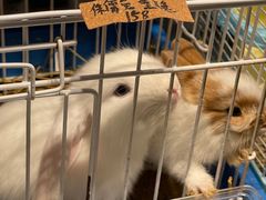 -义乌之心城市生活广场