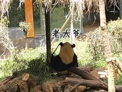 -云南野生动物园