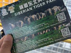 -横道河子东北虎林园