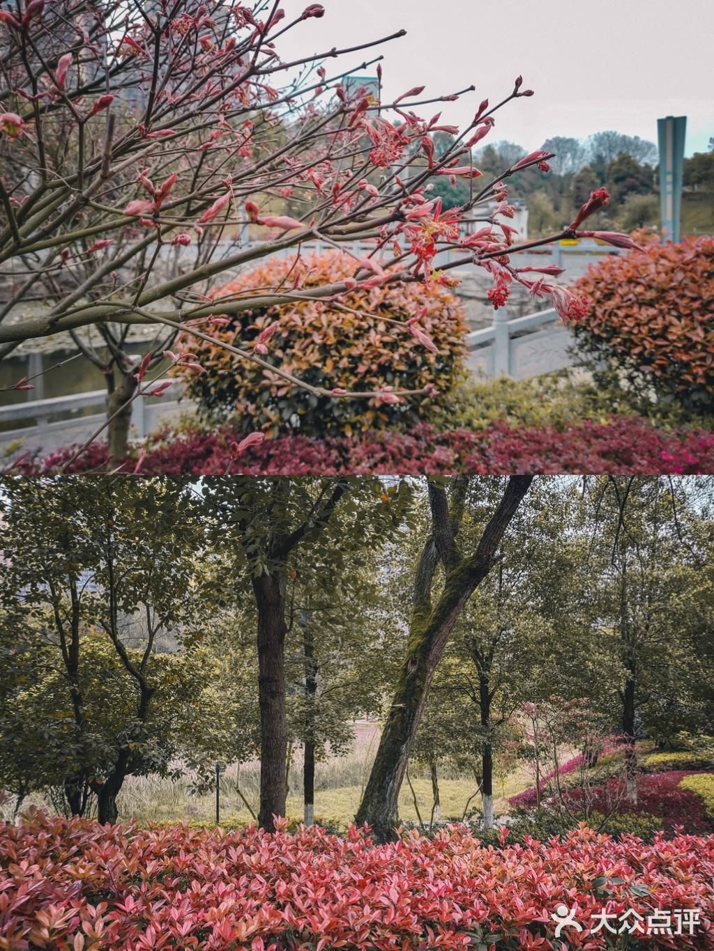 🌸春暖花开·游园怀旧，铭记历史