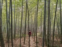 -南京市无想山景区