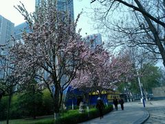 android_upload_pic-唐山抗震纪念碑广场