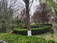 -大槐树寻根祭祖园
