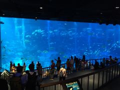 -新加坡海洋生态馆