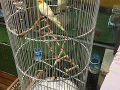 -巴黎春天(浦建店)