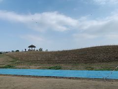 -径山花海