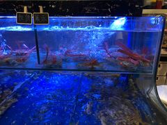 -圣丰索菲特·2 On 988 Café 自助餐厅